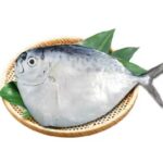 Atlantic Moonfish (Pomfret)