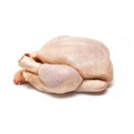Chicken Griller Iwp -Halal-