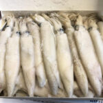 Cuttlefish 100-300 gr. 90% NW Block Frozen
