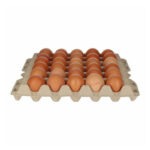 Fresh Eggs White Brown Class M 53-63 g