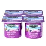 Fruit Yogurt GoodBurry Blueberry Halal