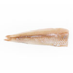 Halibut Fillets Frozen 400-800 gr. 80% NW Skinless Pinbone Out IQF