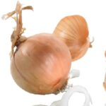 Onions Diced IQF Shock Frozen 2,5kg