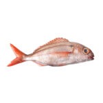 Sea Bream (Besugo) 200-400 gr. 100% NW Red Whole IQF