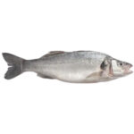 Seabass 300-400 gr 80% NW Whole Gutted IQF