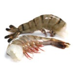 Shrimps Black Tiger P&D 16-20 80% NW IQF