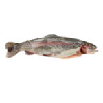 Trout Frozen 250-300 Gram 90% NW Whole