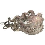 Octopus Frozen 200-400 Gram 90% NW Uncleaned